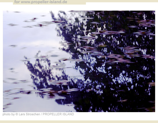 My Berlin Photos Berlin is GREEN reflection